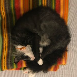 Meet your Posher, Laura